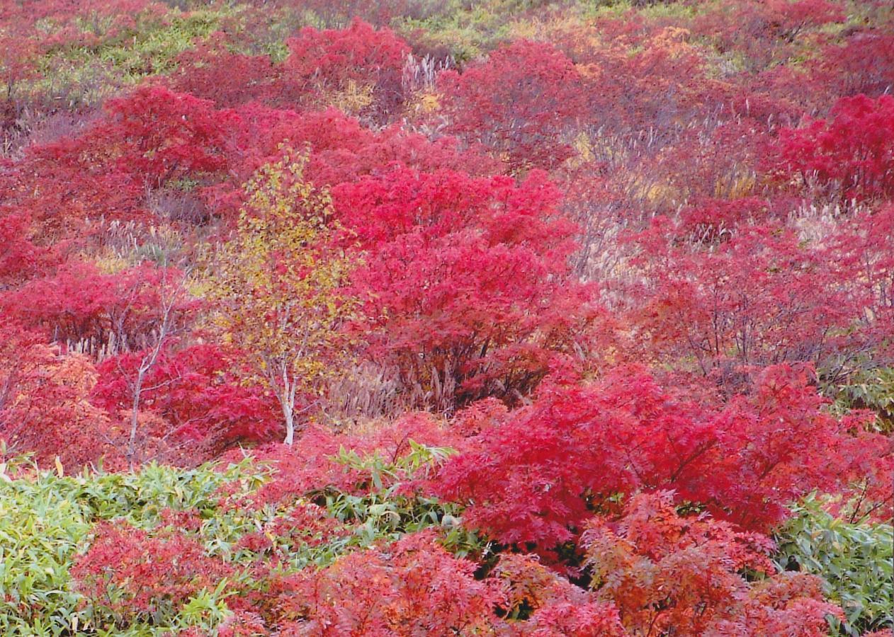 Shiga Kogen Hotel Shiga Sunvalley Yamanouchi (Nagano) Exterior foto